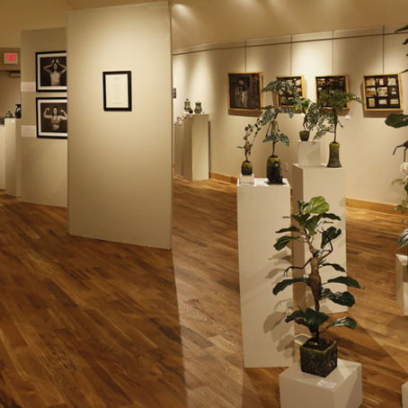 New Voice: Emerging Artists Videos - In Their Own Words