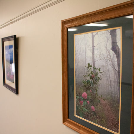 In the Falcon Gallery: An Exhibit of Photography by Bill Booz