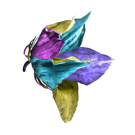 Falcon Gallery, Apr 10-June 5: 'Mutualism' by Langley Anderson