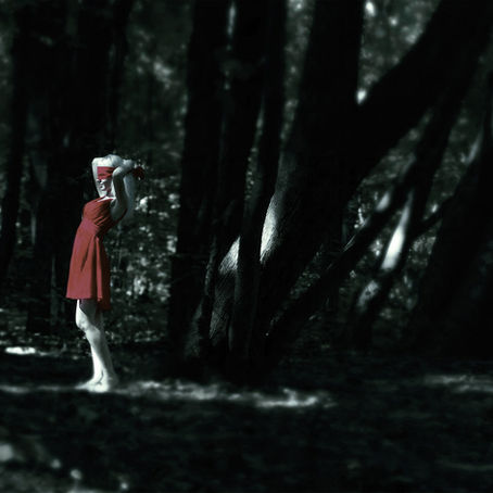 A Woman in Dark Forest