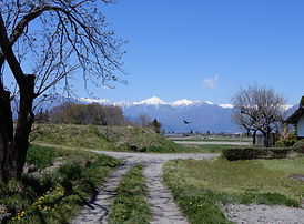 DSCN0205.JPG
