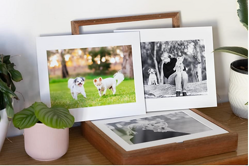 Screenshot 2025-07-30 at 10.46.14 am.png