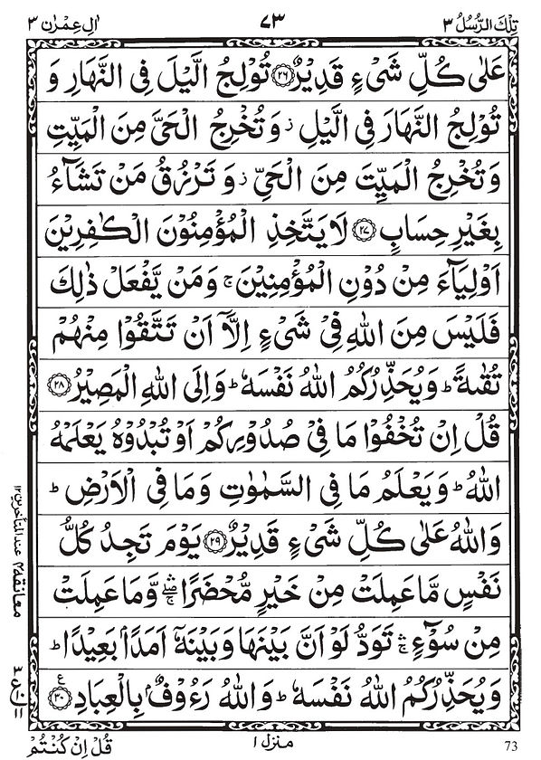 WhatsApp Image 2022-01-25 at 1.13.14 PM.jpeg