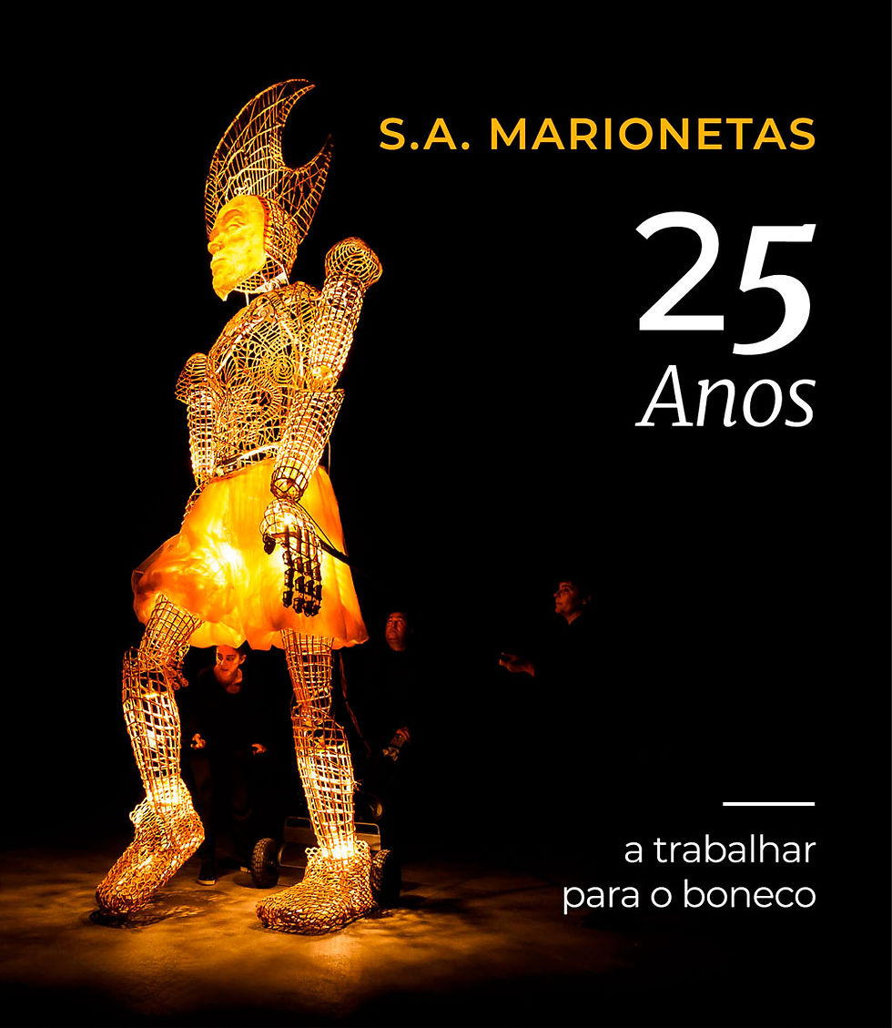 Capa do Livro 25 anos