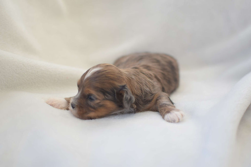 Thumbnail: Female 2 (Sky)