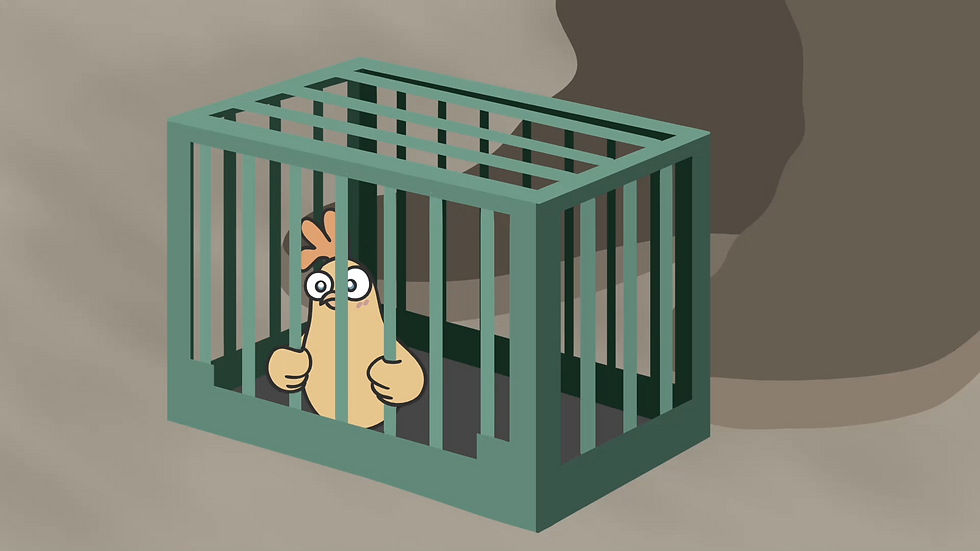 Unethical Chicken Farming