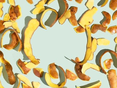 Die Kartoffel: Hülle mit Fülle
