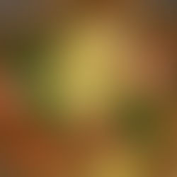 Wassermelonen Feta Salat 