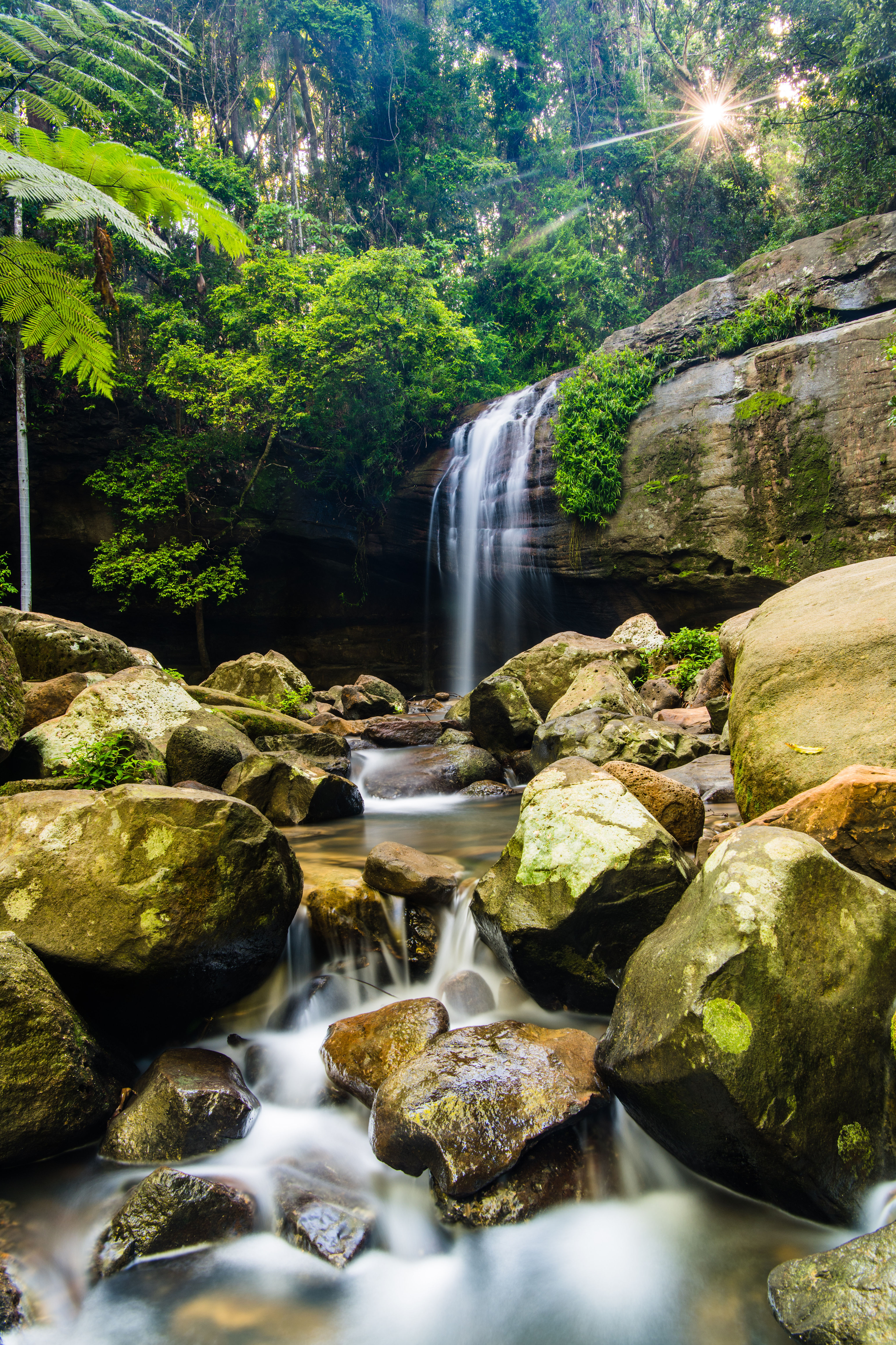 Buderim Falls, Queensland