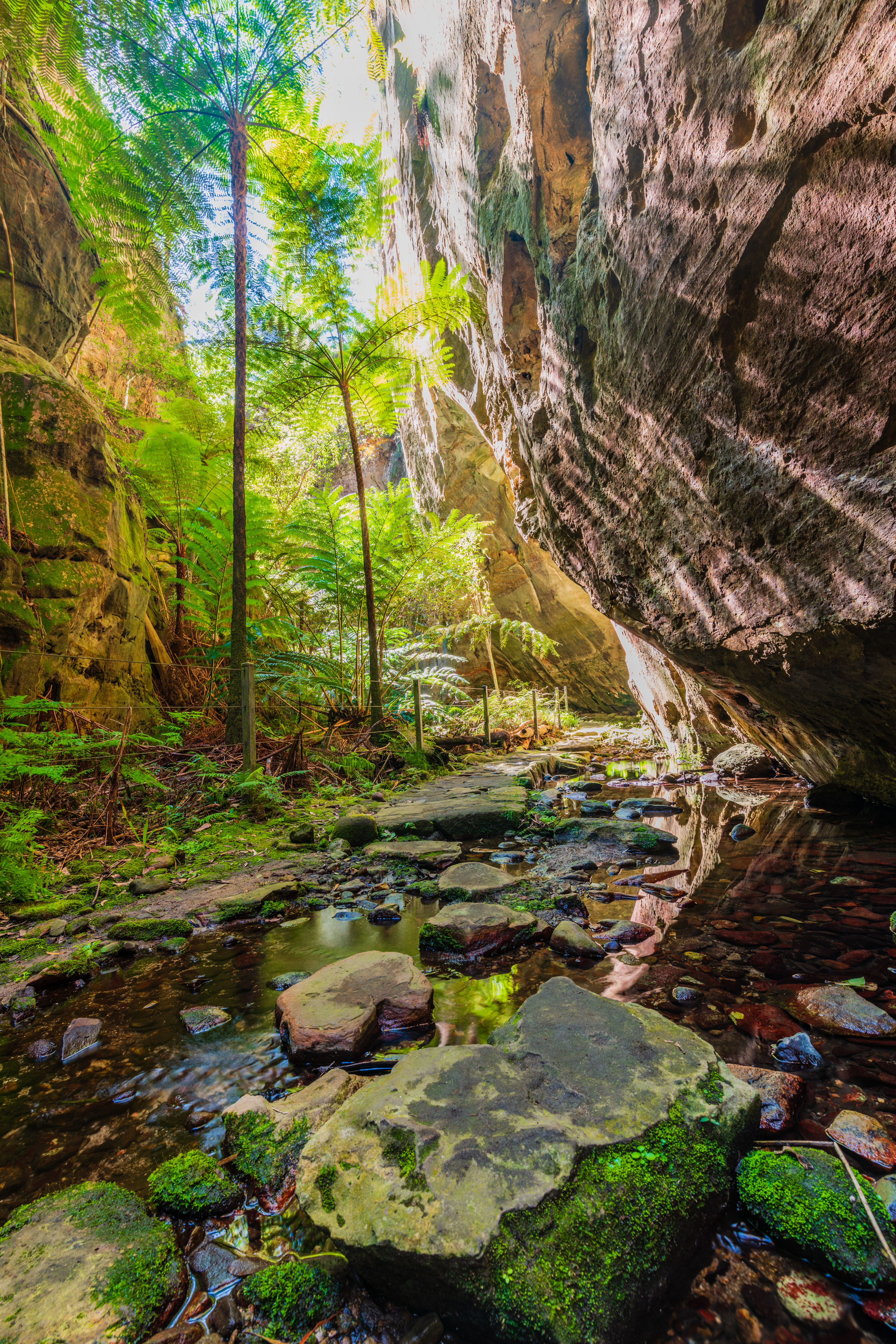Carnarvon Gorge, Queensland