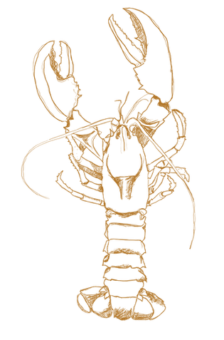 Lobster