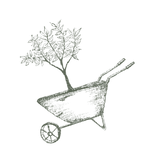 wheelbarrow.png
