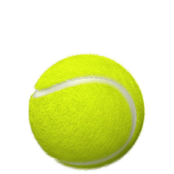 891a36_f08196f1a72b4eb8a2f3b9cae24d52be~mv2.gif