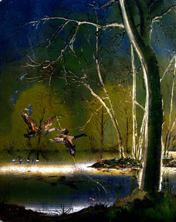 Decoys 3