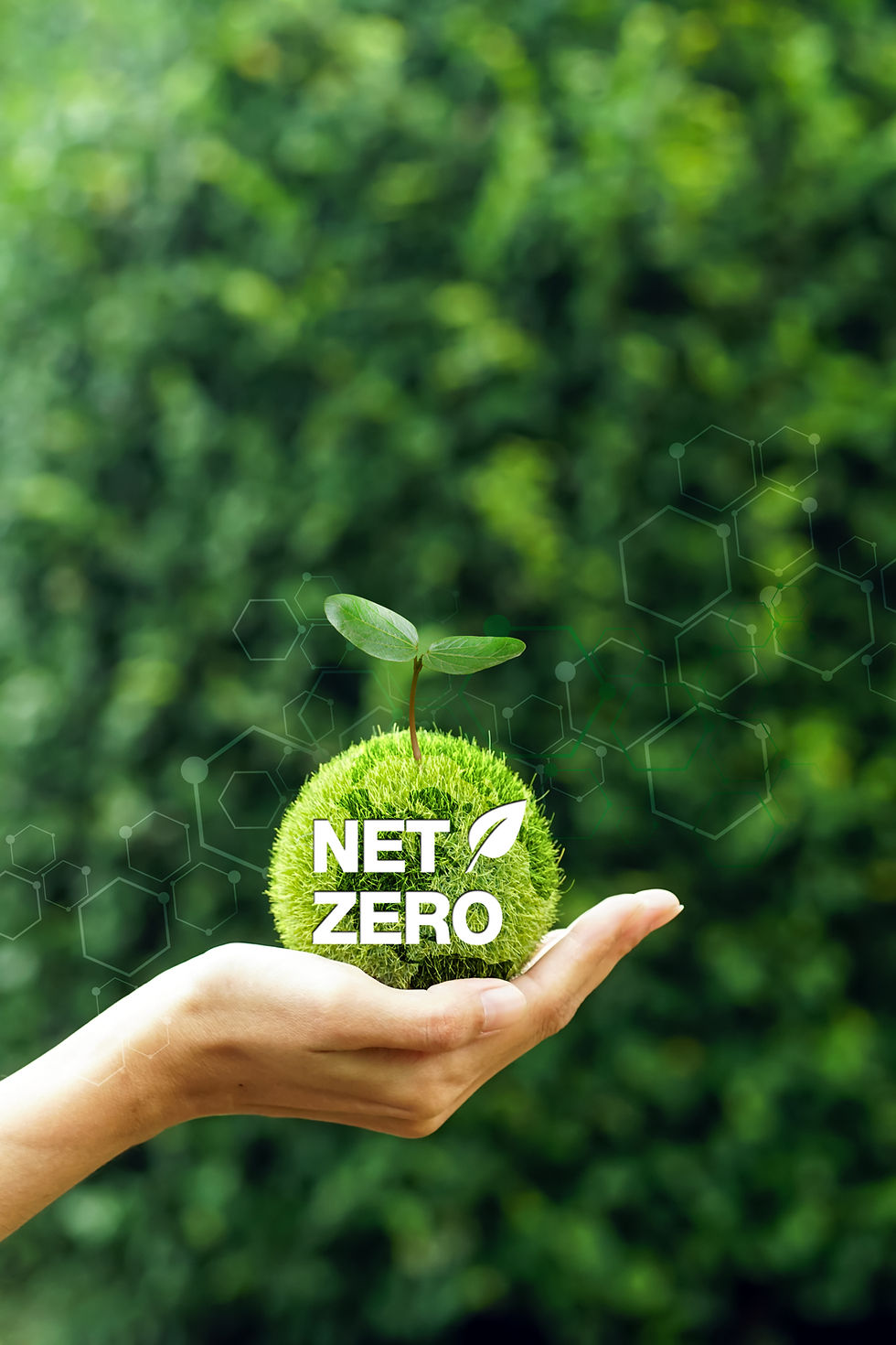 green-earth-planet-with-tree-top-hands-net-zero-icon-carbon-neutral-concept-net-zero.jpg