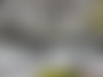 Time-Release Algae Fighting Technology Offers Long-Lasting Roof Algae-Fighting Power