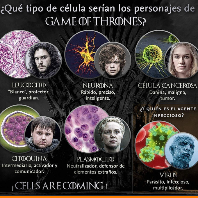 Interesante comparativa.