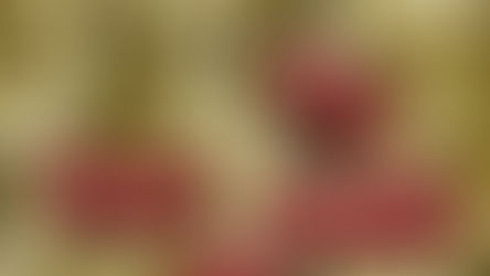 La flora intestinal, clave en la eficacia de la inmunoterapia frente al cáncer