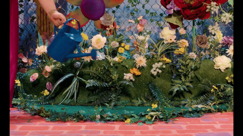 Flowers Growing.gif