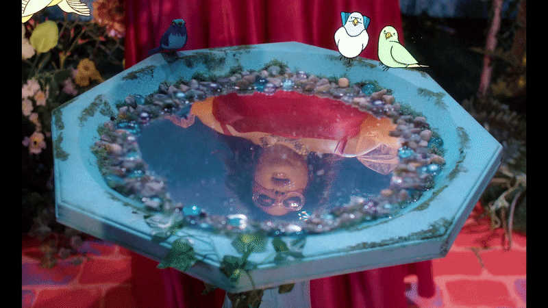 birdbath redo.gif