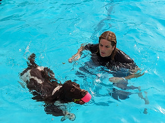 Heidi Coope swimming with her dog.