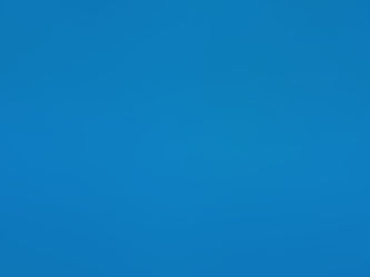 Encounter with a Manta