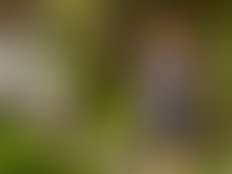 woman in a singlet walking away down a jungle trail