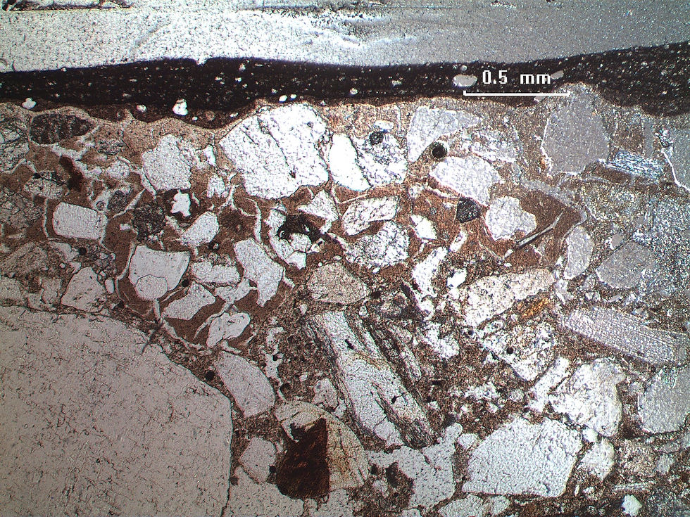 Analisi microscopica delle malte ed intonaci
