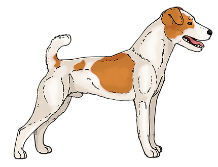 chester.png