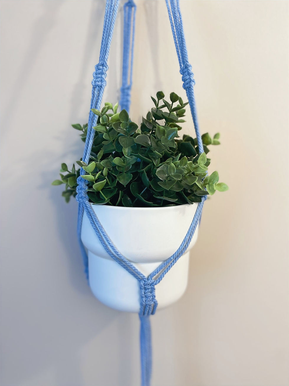 Miniature : Porte plante SIMPLY