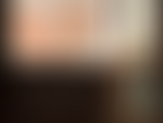 A extinção das abelhas