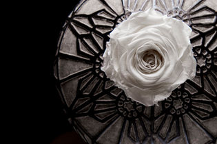 Floral Detail, Photography, Santi Design house, Santi Modern photography, Art, Black and white.