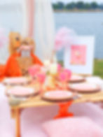 Bachelorette Party Picnic Celebration in San Diego Aperol Style