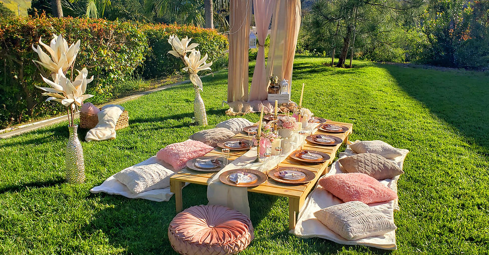 San Diego luxury picnic setup with elegant décor and custom styling.