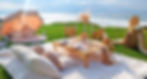 Oceanfront picnic setup for a special event in San Diego