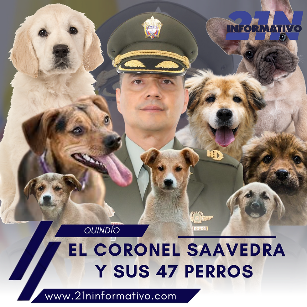 EL CORONEL SAAVEDRA Y SUS 47 PERROS