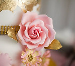 30726659_2056055077998981_84733935621158