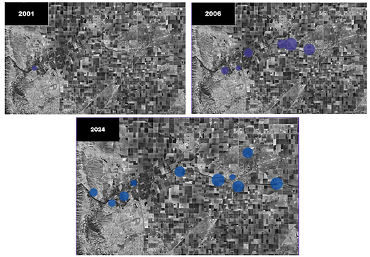 Population Genetics of Western Bluebirds
