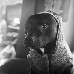 IMG_0610