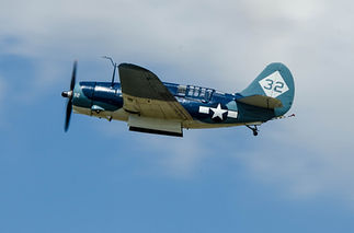LAL_0874-1.jpg