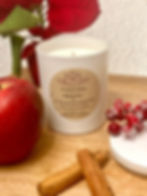 Apple + Cinnamon Candle for Christmas. A red apple, cinnamon sticks, cranberries and a poinsettia as a background.