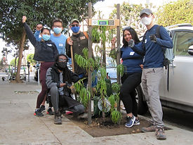 Volunteer-4.jpeg