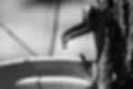 Sans titre-Niveaux de gris-07.jpg