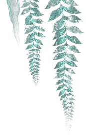 35042E1C-AF0F-4454-BFDE-2B6C2E63EA53.png