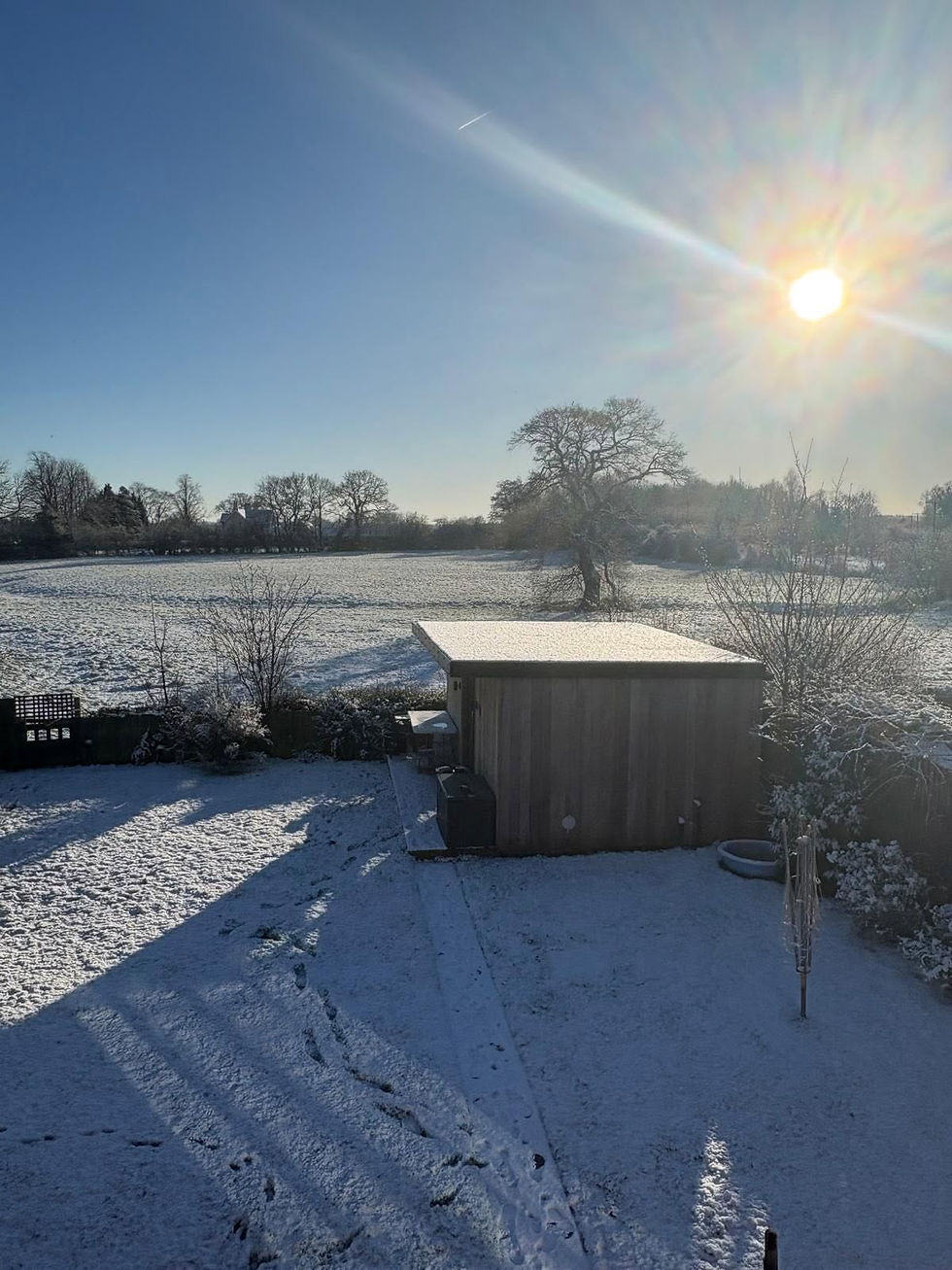 Features a snowy backyard bathed in bright sunlight, showing a wooden shed, bare trees, and a snow-covered field stretching out to the horizon.