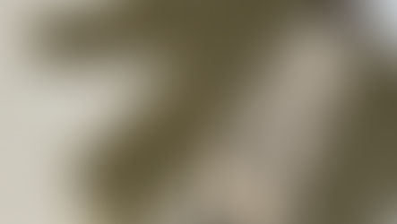 Designing a Professional Maternity Capsule Wardrobe