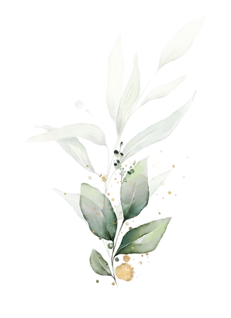 c (14).png