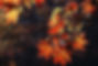 Golden Leaves