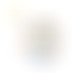 Infographics about the house luir