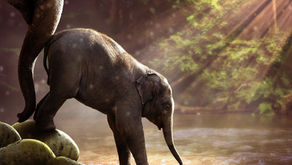 Lebenslanges Lernen - dein Weg zum Erfolg